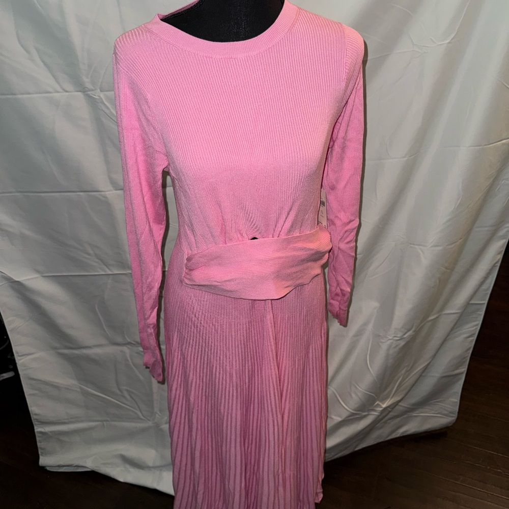 Anthropologie Pink Long Sleeve Dress